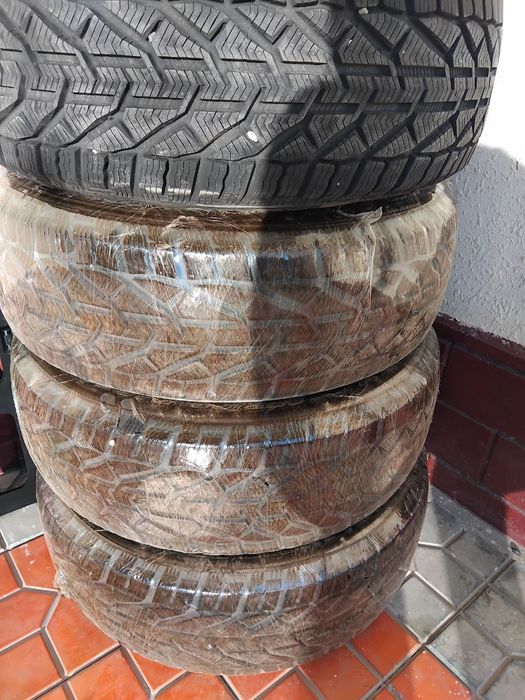 Зимняя резина от Сербия Taurus