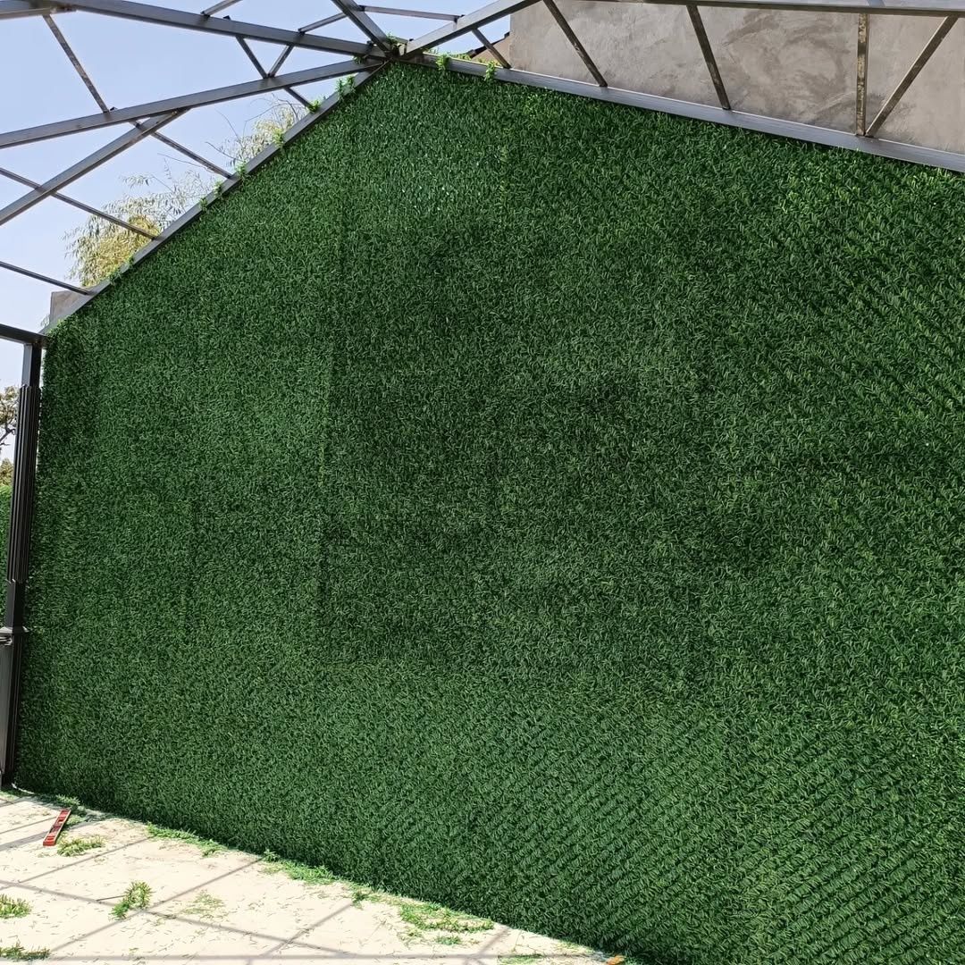 Suniyzabor #green