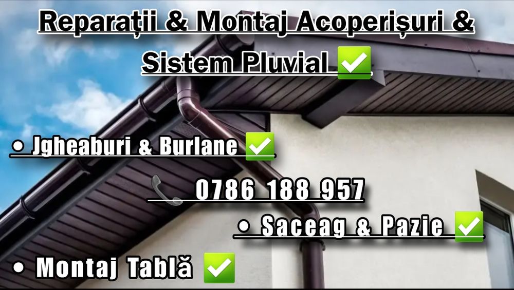 Reparații Acoperișuri , Terase , Montaj , Vopsire , Izolații