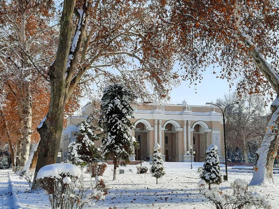 Снежные кроны и солнечные горизонты Ташкента: экскурсия-погружение