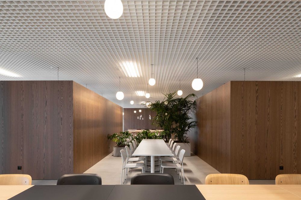 Grilyato, griliata, griliato osma potolok