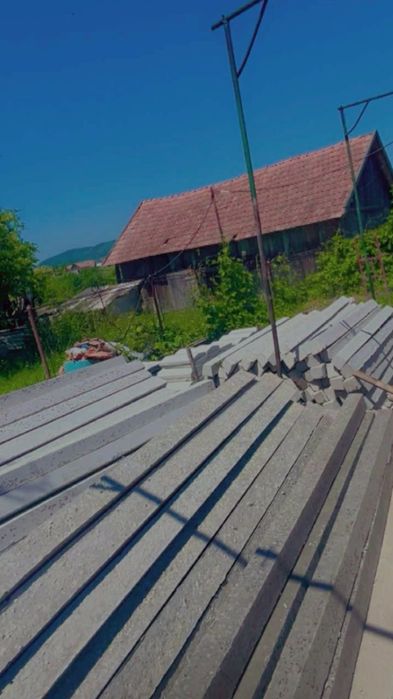 Stâlpi spalieri vie îngrădit!