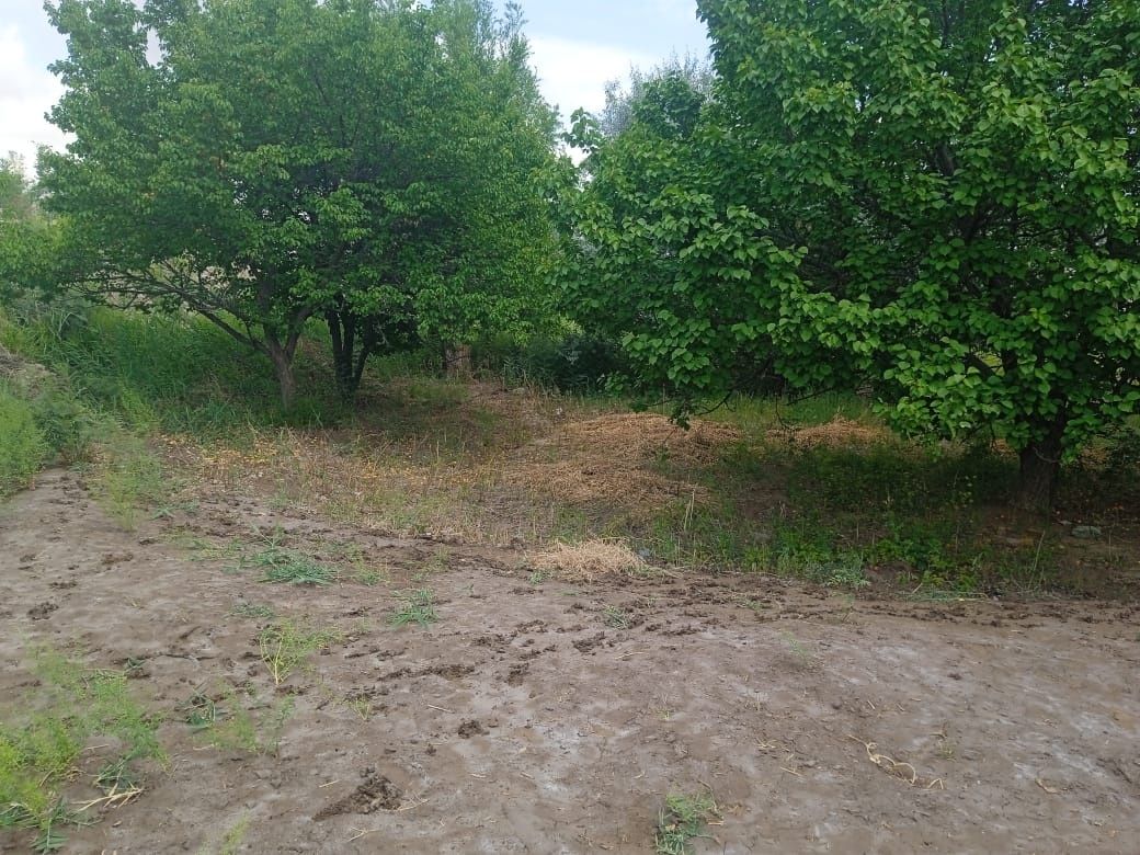 Жай сатылады тахиятаста