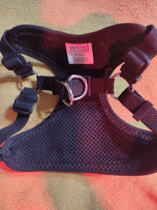 Vând ham pentru căței de talie mică