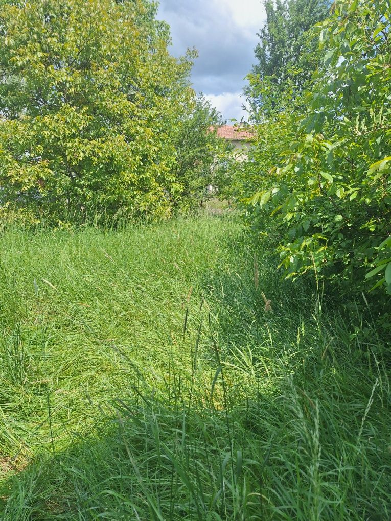 Продава се Къща в с. Кошарево, Област Перник - 120 кв.м за 510 €/кв.м - Снимка #4