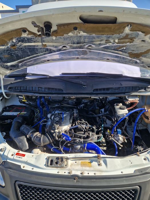 Gazel fermer sotiladi