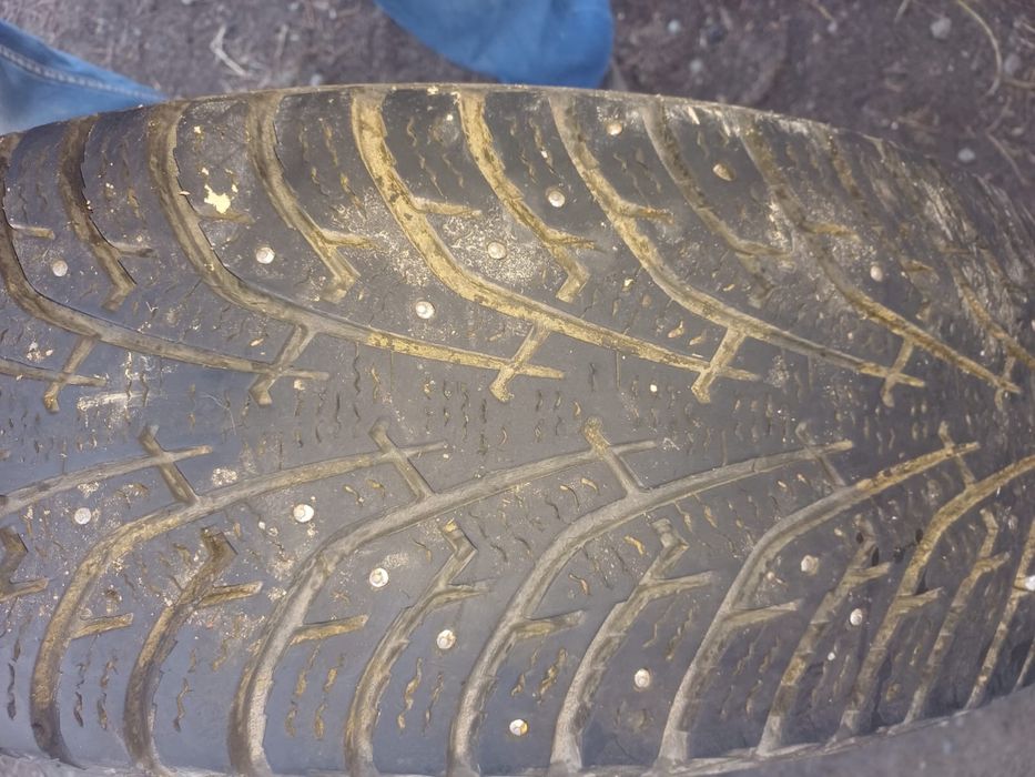 шины зимные шипы