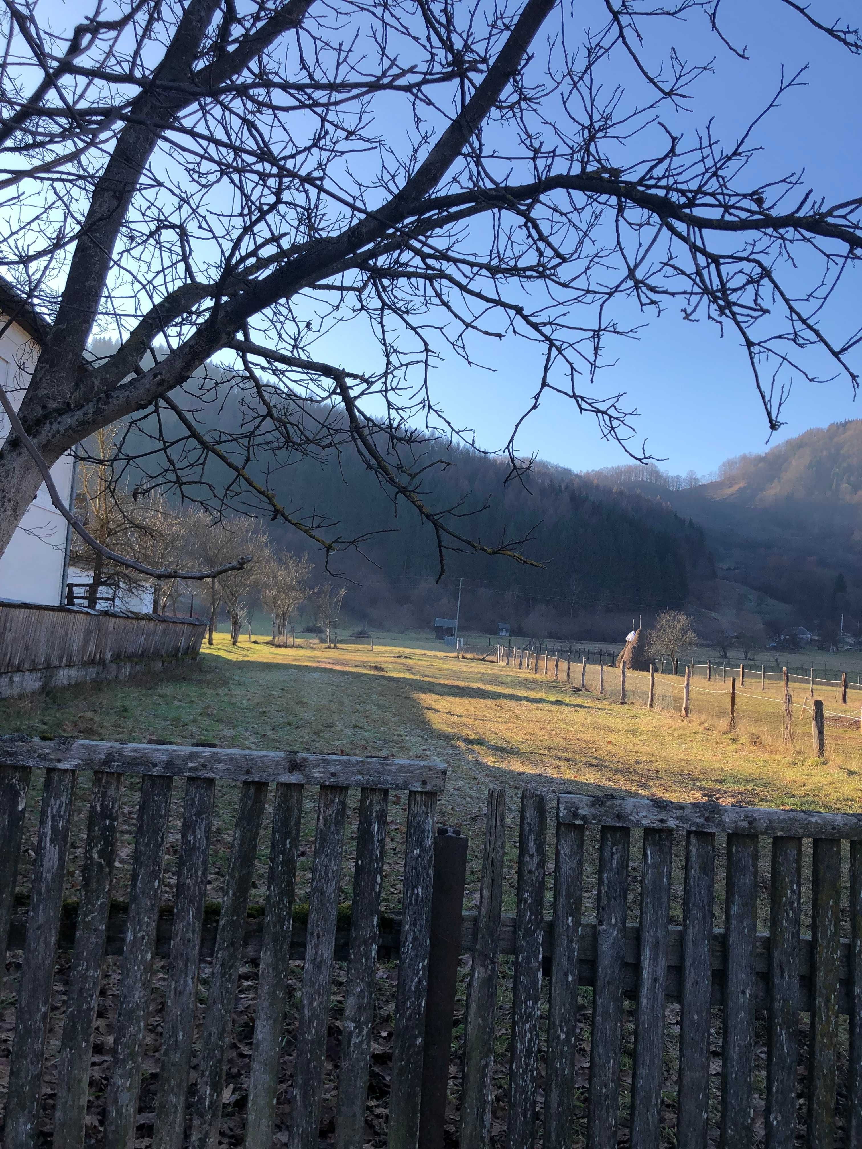 De Vanzare Extra Vilan 3000mp. Livada cu acces din strada,Gradina