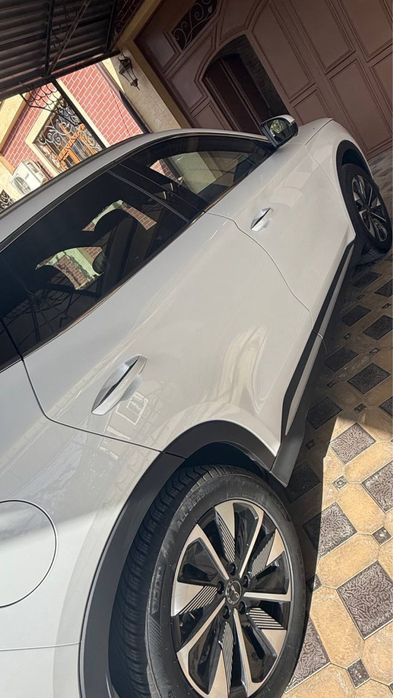 Byd Champion full 605