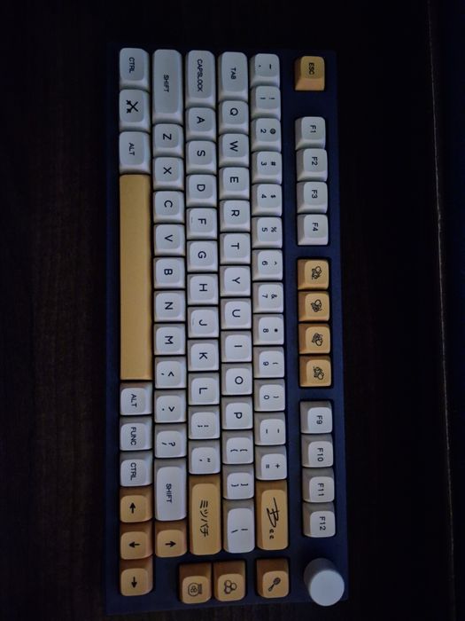 Tastatura qwerty carpathin