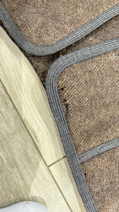 Автентична антерия