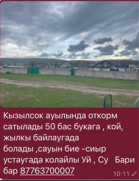 Дом-Фазенда для откорма бычков, лощадей