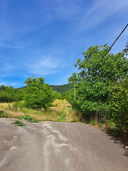 Teren 6 ari,12 sau 18ari,intrare pe Valea Borcutului pt 2 blocuri/case