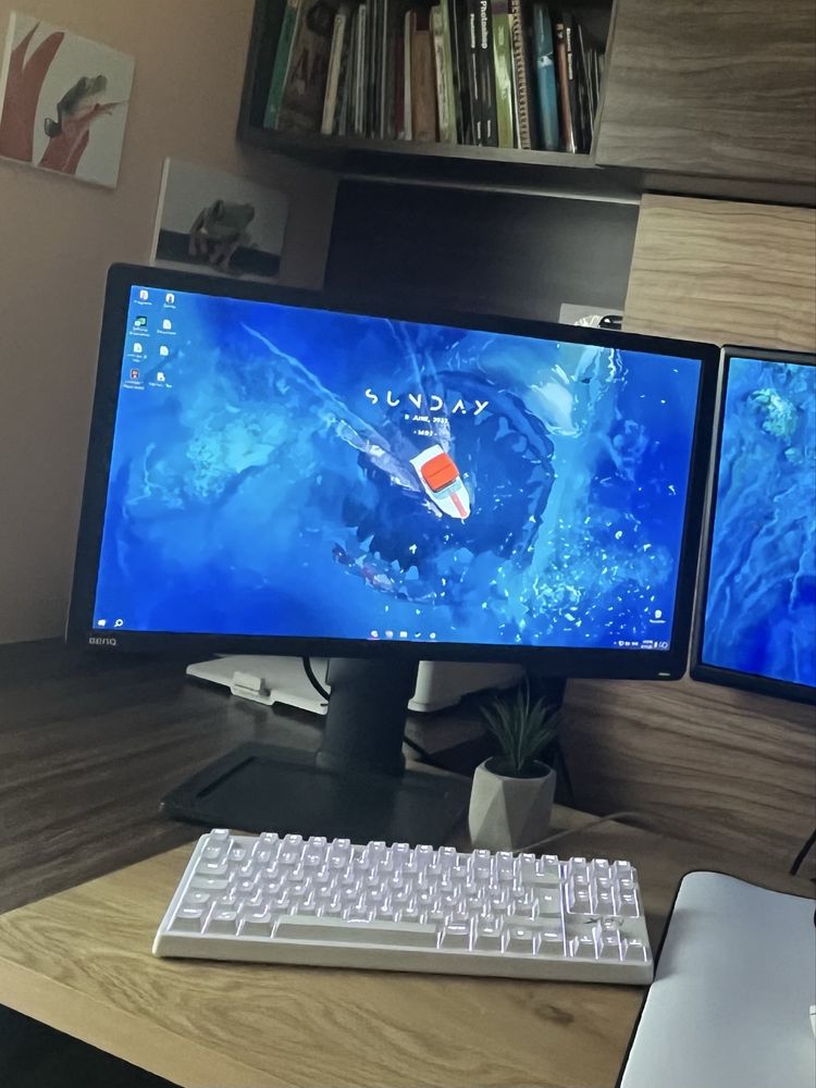 Геймърски монитор Zowie XL2411P