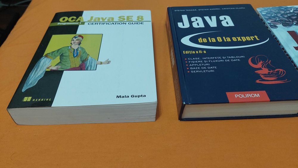 Carti de programare in limbajul Java