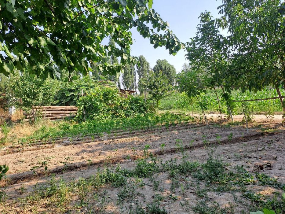 Hovli uy sotiladi. Дом продаётся