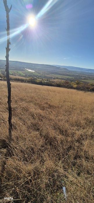 Teren de vânzare Pâclișa