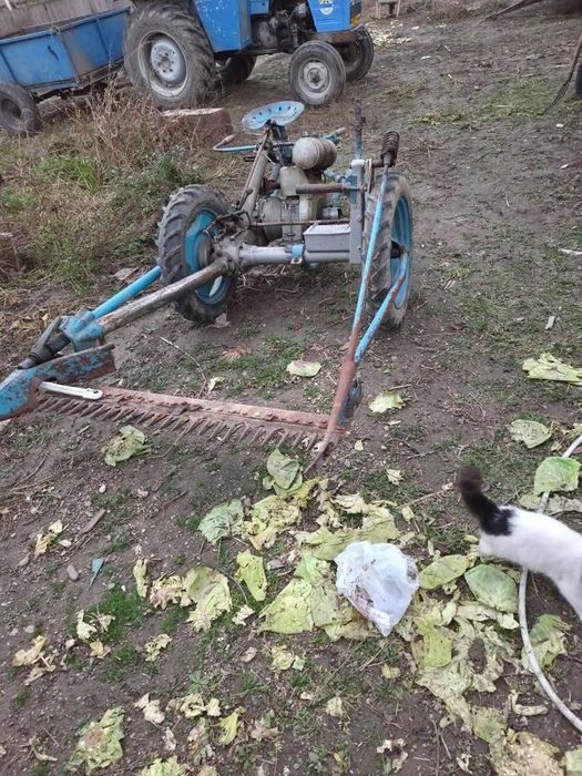 Cositoare pe benzina BGS.