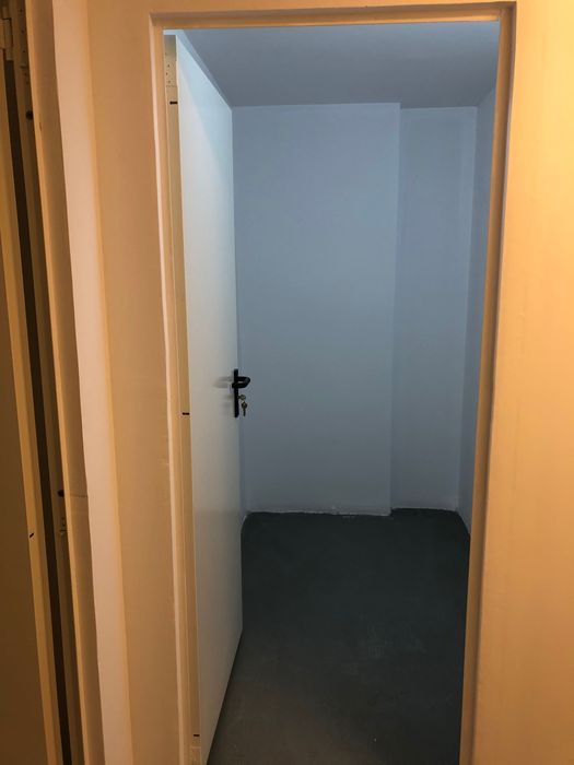 Boxa 3 sau 6 mp Rose Garden