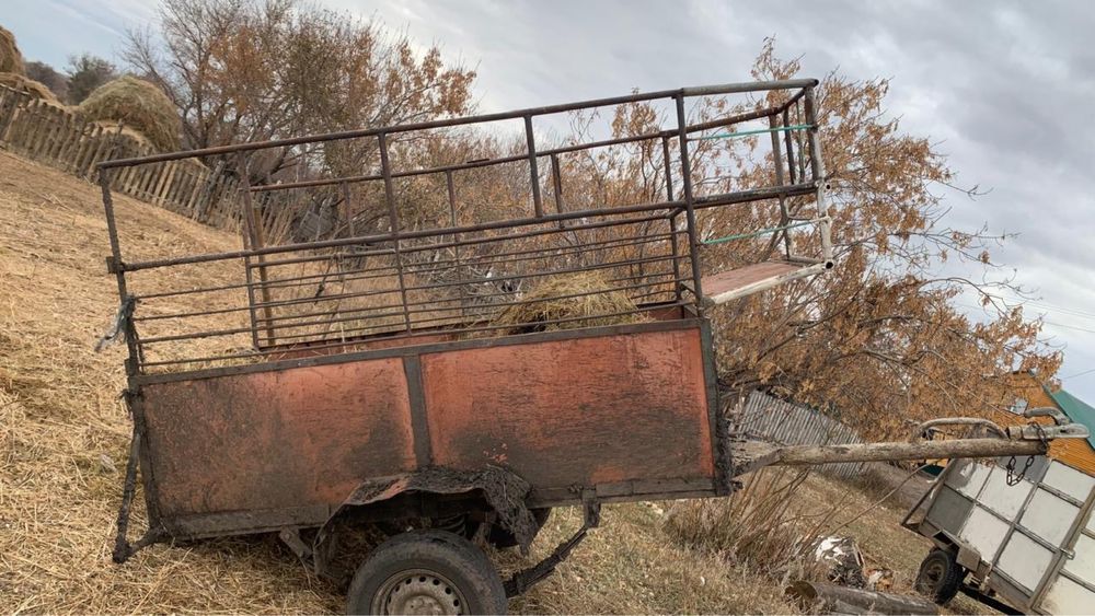 Продам коневозку