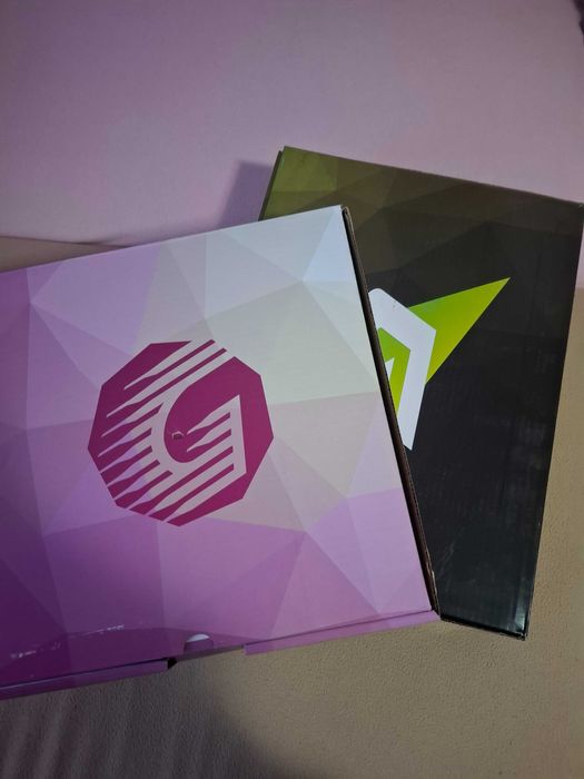 Patine hochei barbat/dama