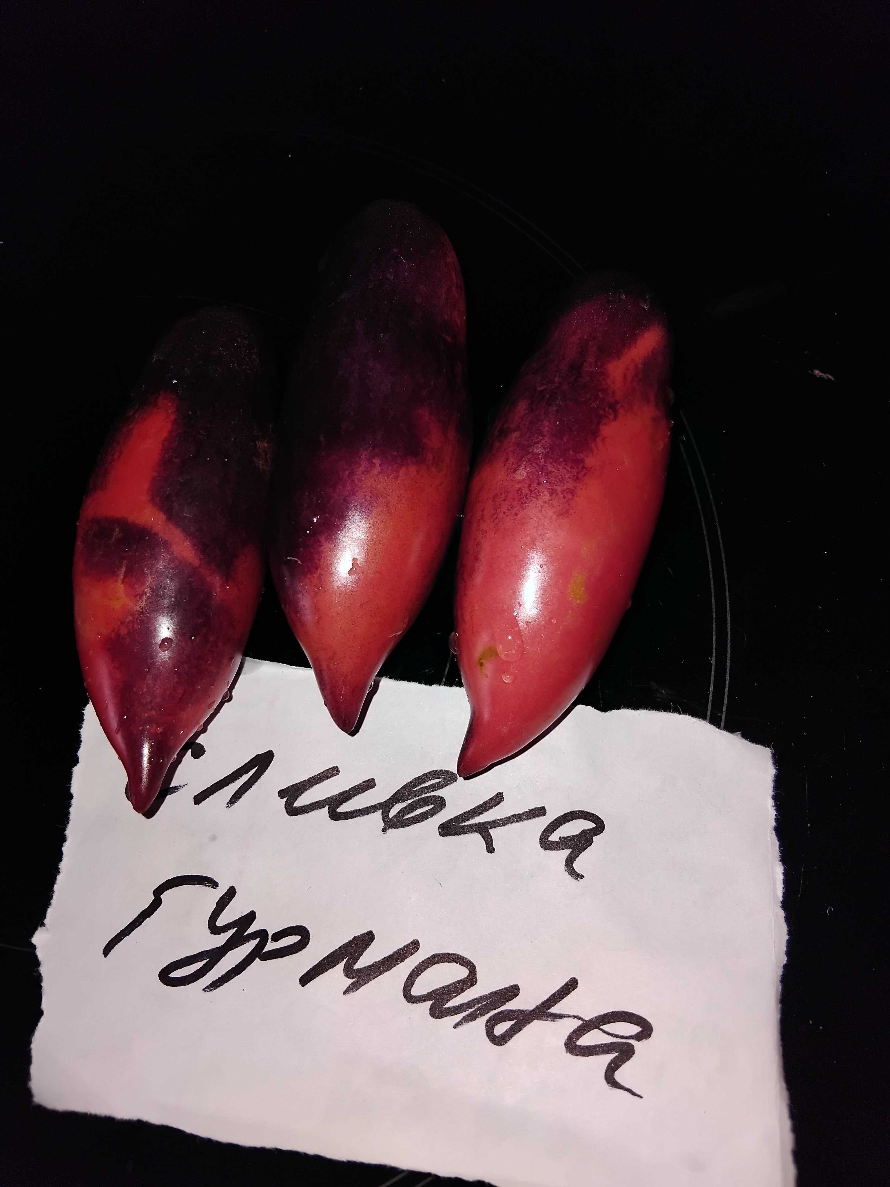 Продавам семена за домати