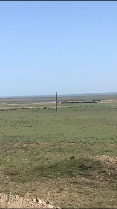 Ауыл шаруашылыққа 340га жер учаскесі сатылады