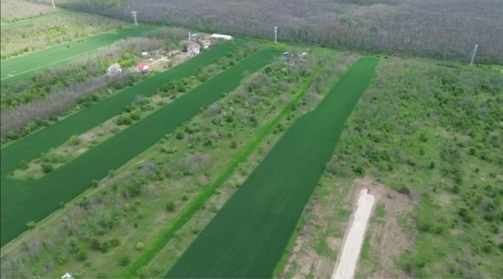 Teren Sabareni intravilan construibil 400 m2 langa padure
