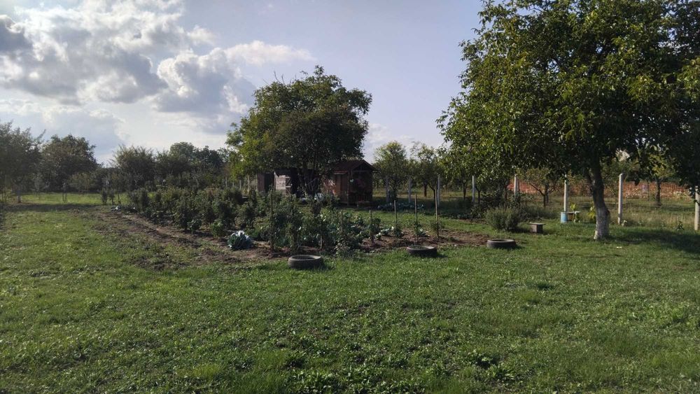 Teren extravilan de vânzare - 20 Arii