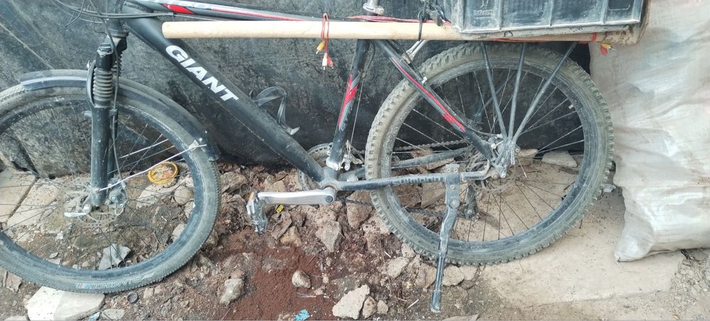 Velosiped hammayogi butun