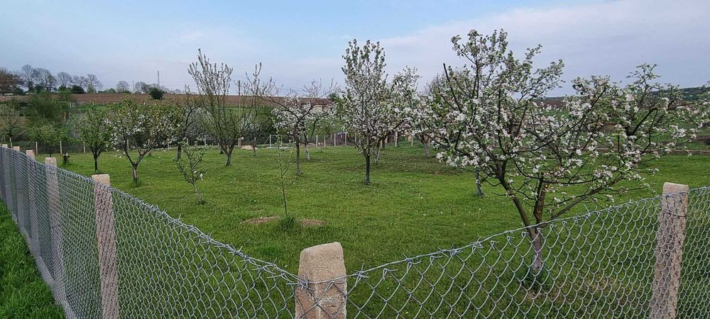 Продава се парцел село Мерданя 1360 кв.м.  Област Велико Търново