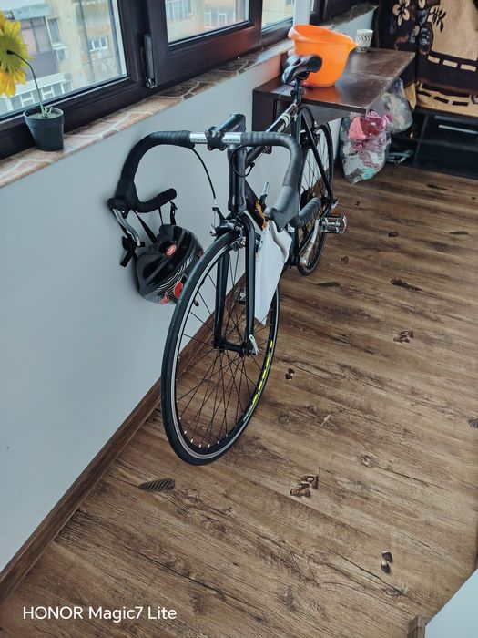 Cursiera  Teman 1000