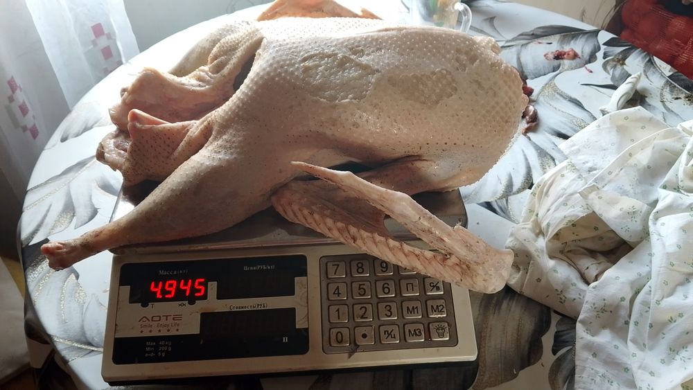 Продам тушку гуся.
