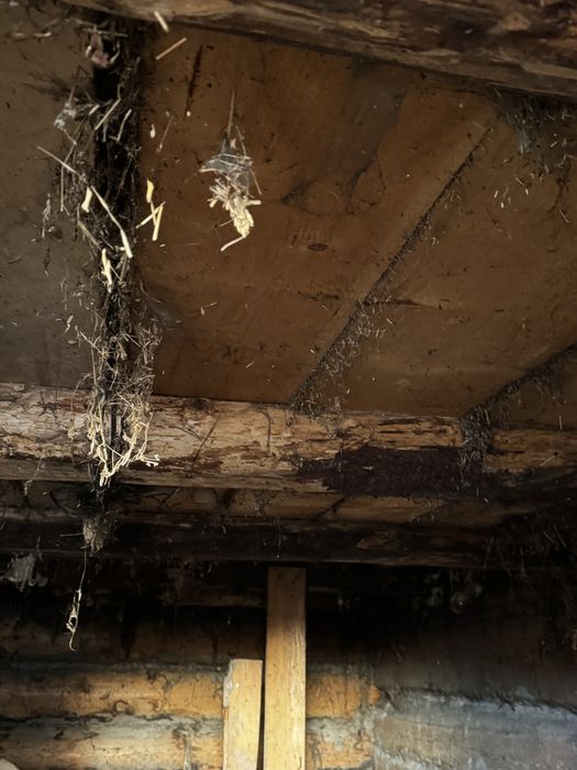 Rezidenta rustica de lemn pentru vanzare.