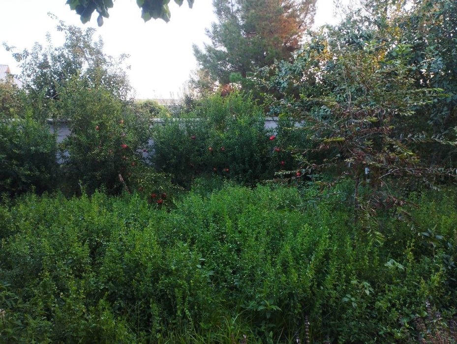 Yer uchaskasi sotiladi.