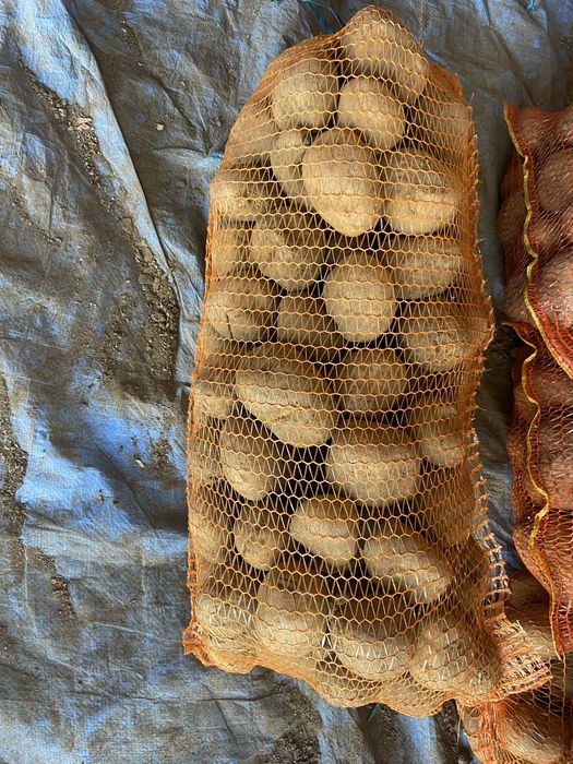 Vand cartof rosi si alb