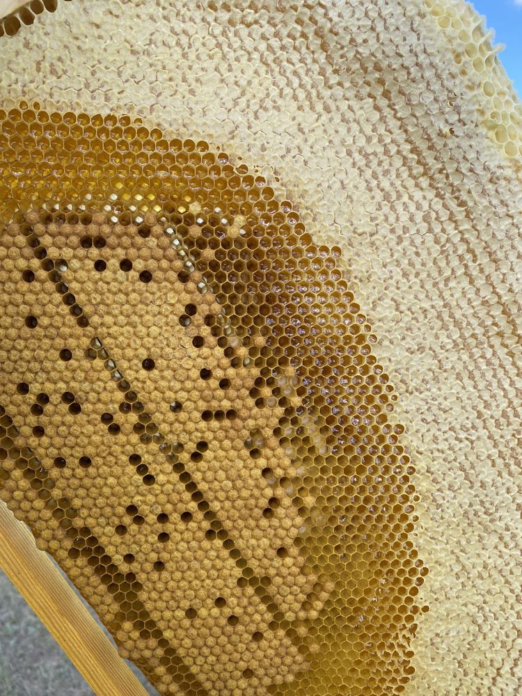 Мёд натуральный (зрелый)