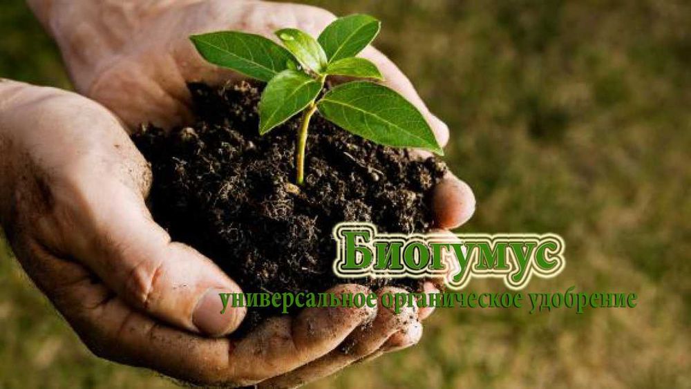 Продам биогумус 100 тенге/литр с собственной червячной фермы по 5-40 л