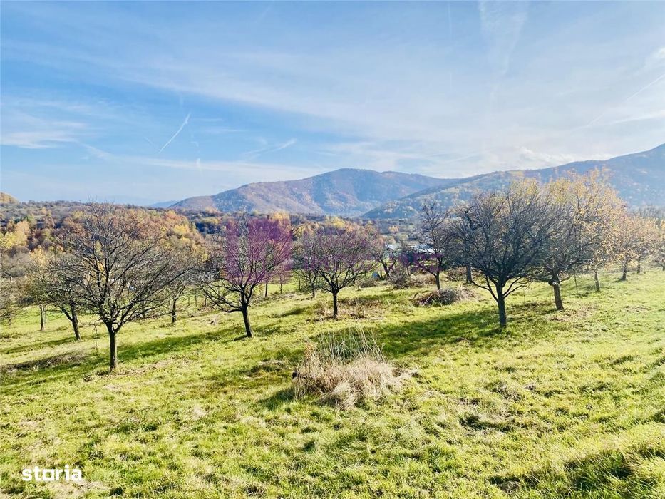 Teren intravilan 1200 mp | Marginimea Sibiului | Sibiel | priveliste s