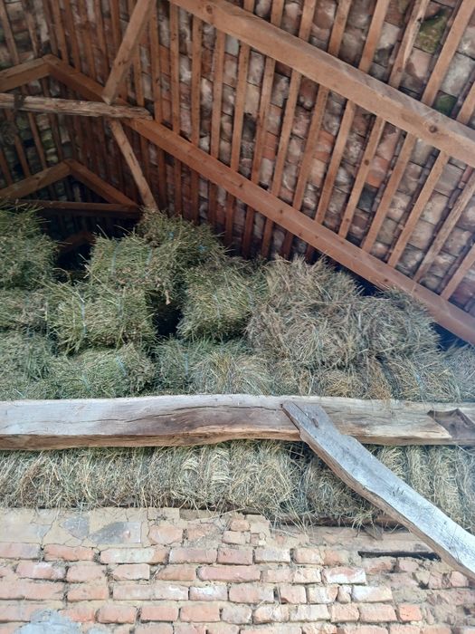 Baloti  de fan și otava si lucerna  1300 Baloti