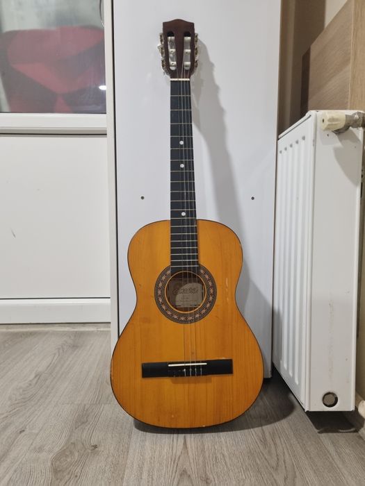 Chitara Encore Romania