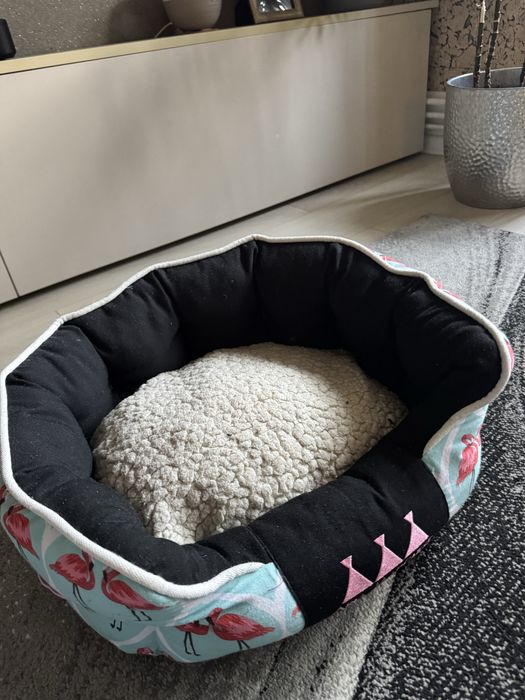 Patut caine sau pisica