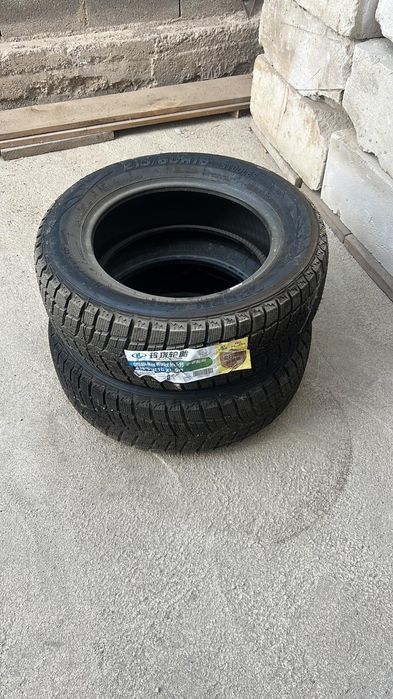 Шини пара зимний r16