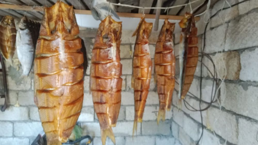 Копчённая рыба(жерих,рыбец)