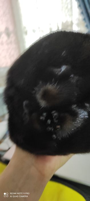 Продам   норковую женскую шапку