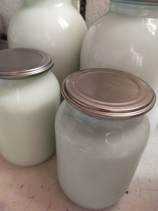 Свежее молоко домашнее