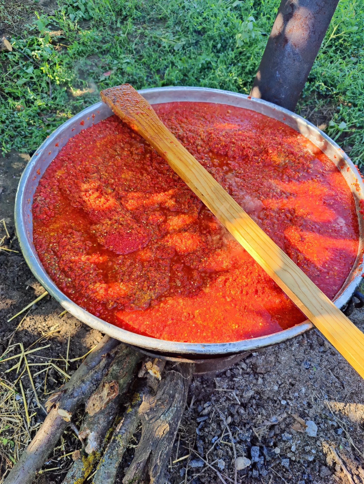 Домашна лютеница