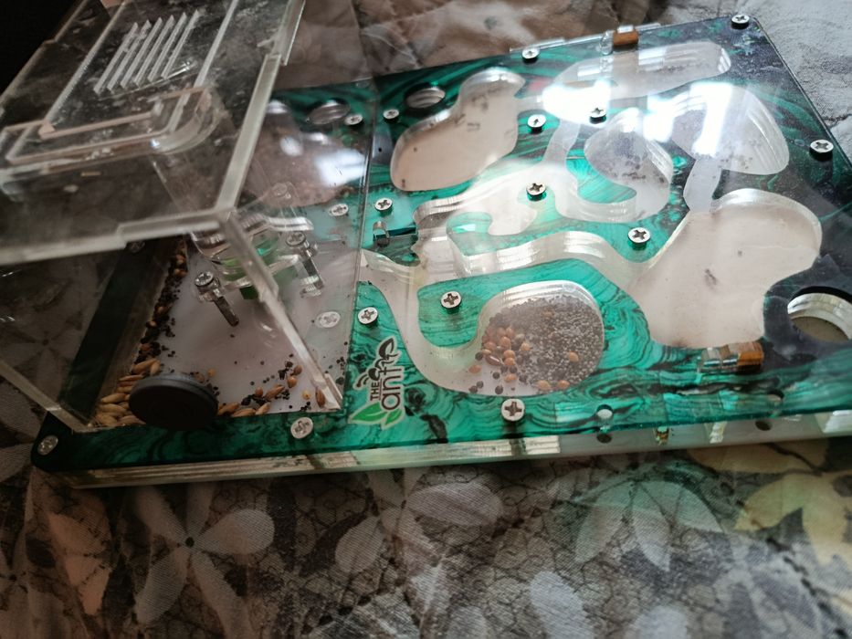 Продаётся муравьиная ферма