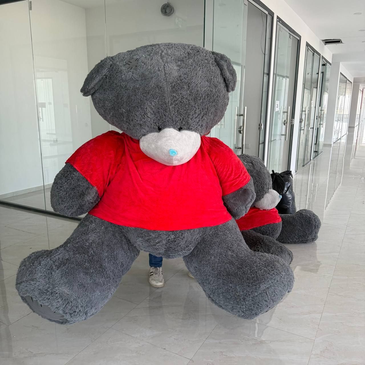 : Royal Love Bear 2.2 метр сюрприз на 8 Марта! Teddy ayiq 2.2metr