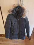 Яке Canadian goose